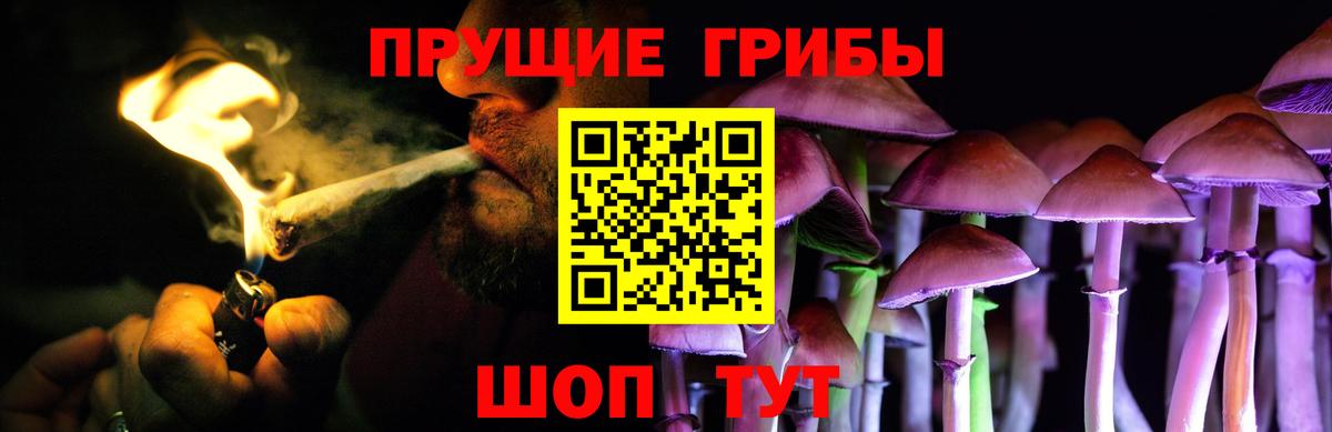 Псилоцибиновые грибы GOLDEN TEACHER Можга